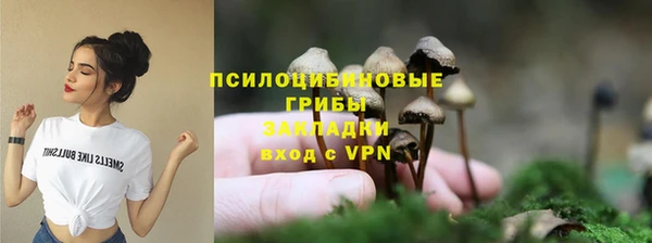 мет Арсеньев