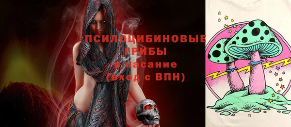 спайс Аркадак