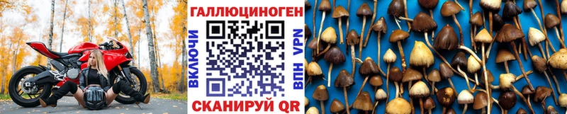Галлюциногенные грибы GOLDEN TEACHER  где найти наркотики  это формула  Цивильск 