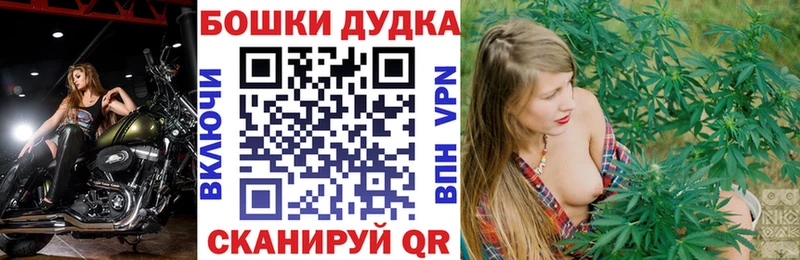Канабис ГИДРОПОН  Цивильск 